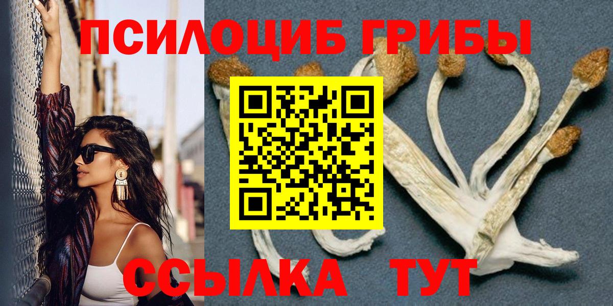 Псилоцибиновые грибы GOLDEN TEACHER  Вход с VPN  Можга  Псилоцибиновые грибы мицелий 