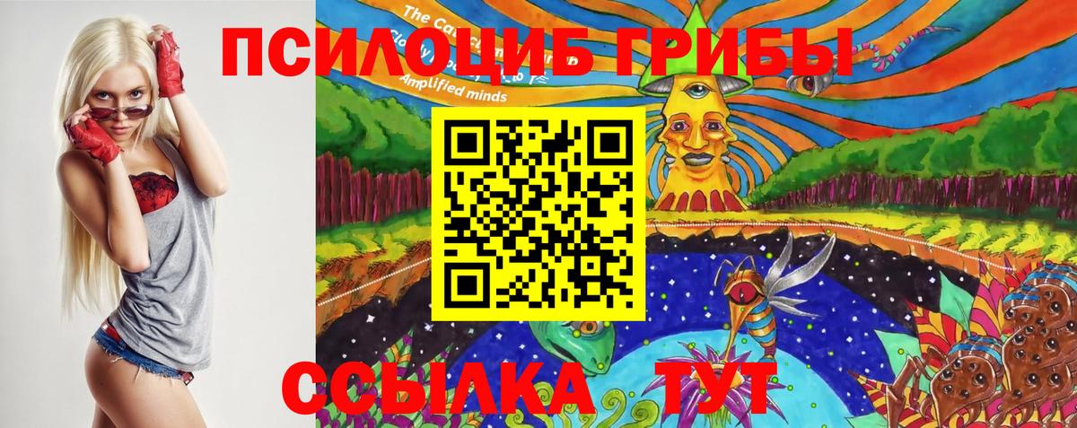 Галлюциногенные грибы ЛСД Можга
